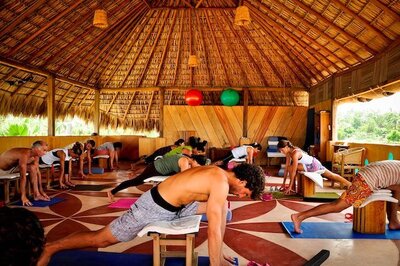 Kayla MacArthur, Human Design expert and intuitive coach in San Miguel De Allende, offering self-discovery sessions that blend energy insight and personal growth through EnForma.