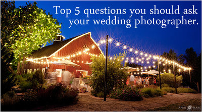 Top Five Questions to Ask Wedding Photographers Before You Hire Them