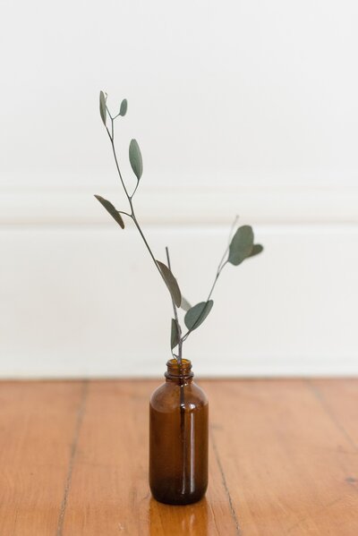 silver-leaf-eucalyptus-in-an-amber-glass-jar_t20_8leWYW