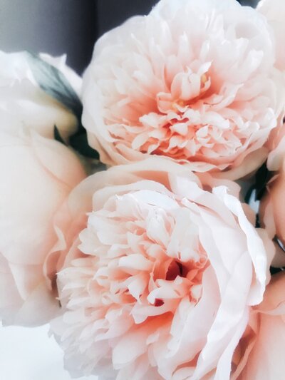 coco-tafoya-EV_oX9Hf620-unsplash