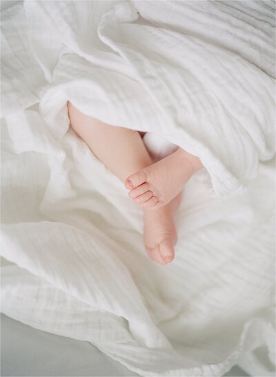Northern Virginia Photographer tiny baby toes photo