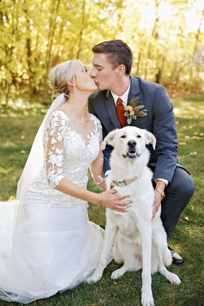 MT-Wedding-Dog-Photographer-006