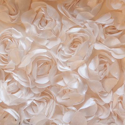 Champagne 3D Roses