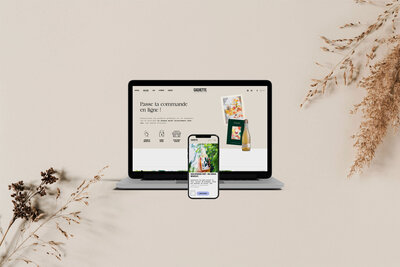 site-web-ecommerce