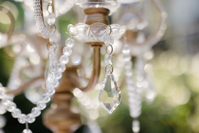 Outdoor Chandeliers hanging from magnolia trees on The Sepulveda Home property