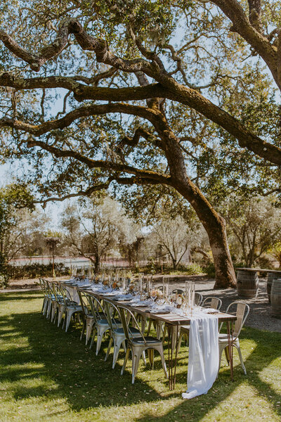 large table set up under a tree for an outdoor wedding reception in caifornia