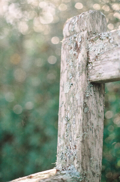 Film photograph of details of wooden warn bench in Charleston South Carolina