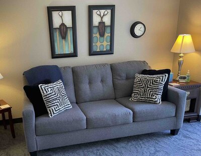 This photos shows one view of Sheri Zanganeh's Roseville office interior, centering a gray couch with textured pillows, artwork, and a clock hanging above it.