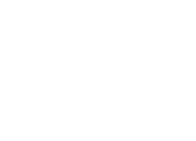 Christy-Burton-White-Logo