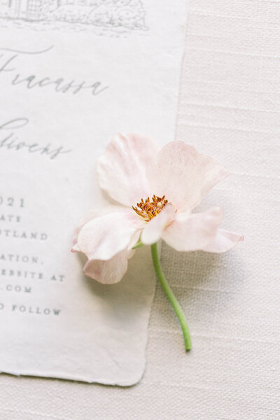 The Oaks wedding photographed by Tracy Parrett Photography