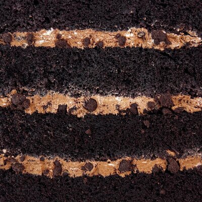 Close up of the cake and filling in our mocha crunch cake