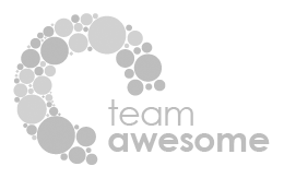 teamawesomecoaching.com-2