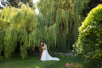Bride and groom under willow tree