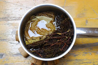 Natural dyeing with plants