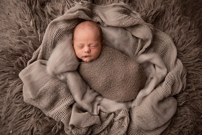 Baby boy wrapped in brown wrap at this Detroit Newborn Photography session