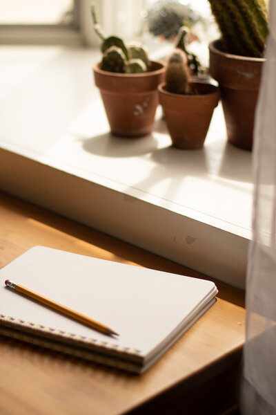 Notebook and pencil resting on wooden table with bright light and plants in the background
