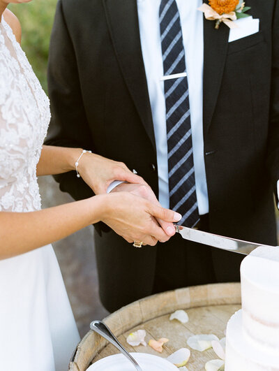 bride and groom cutting into cake