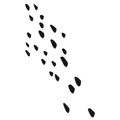 Artboard 4