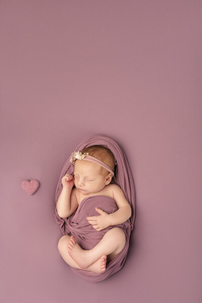 charlotte newborn photographer work