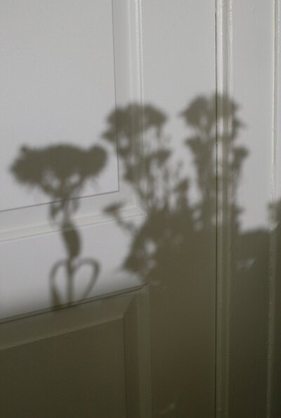 Black and white photo of shadows of three bouquets of flowers  on a door.