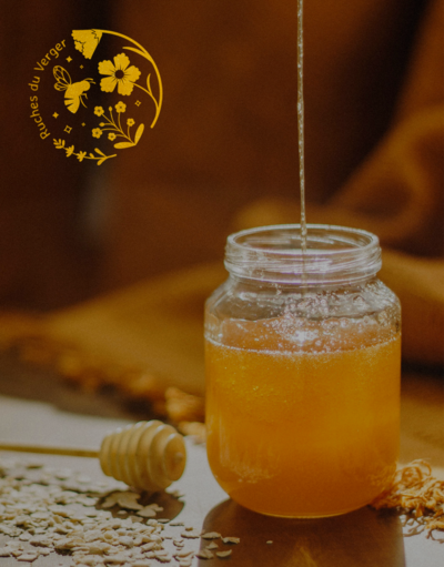 Réalisation d'un logo pour le miel "Ruches Du Verger"