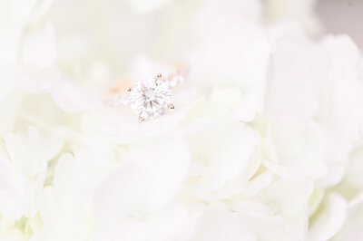 A sparkling rose gold engagement  ring on white flowers by JoLynn Photography
