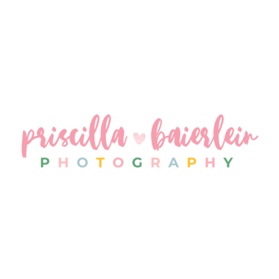 A colorful logo for Priscilla Baierlein Photography, a Lexington KY family photographer.
