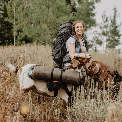 Jackson Hole Wyoming wedding photographer shares her personal hobby of hikinh with her goats in the Tetons