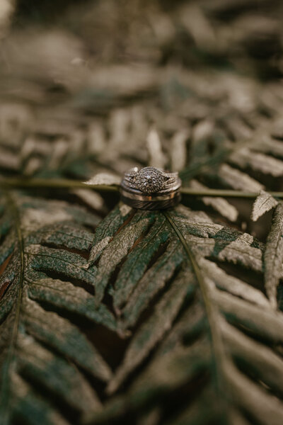 wedding rings on ferns