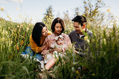 family of 4 in green grass in walnut creek hills for a spring photography session