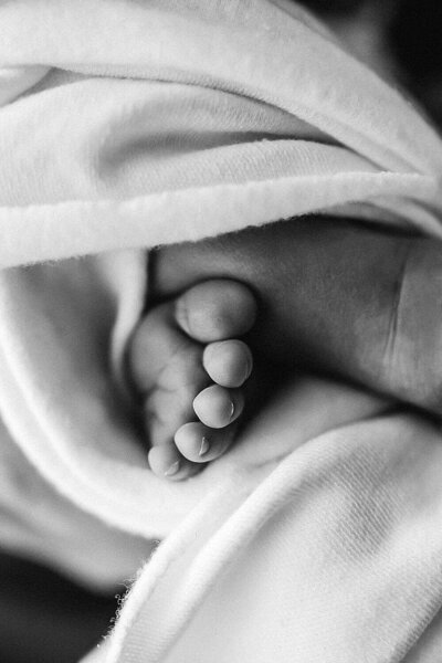 Newborn baby toes photographed by aimee kelly photography