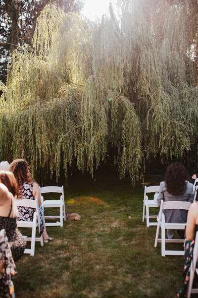 Garden wedding ceremony willow tree
