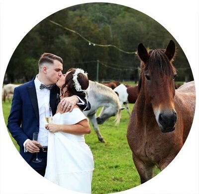 bride and groom kissing next to a horse at glenworth valley
