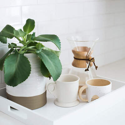 pour over coffee on counter with mugs and fresh green plant