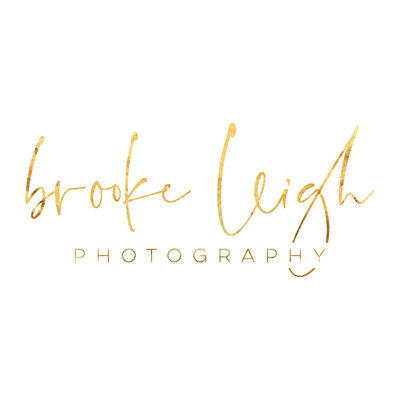 Logo for Brooke Leigh Photography Ann Arbor Lifestyle Newborn Photographer