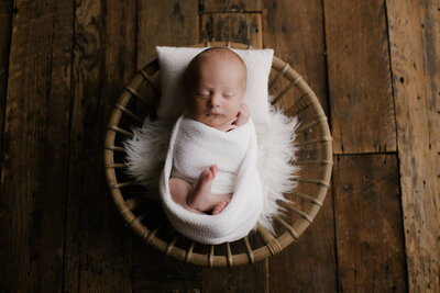 Newborn Studio Photographs of baby in a basket with white fur