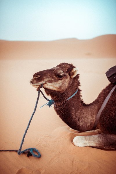 Morocco-3