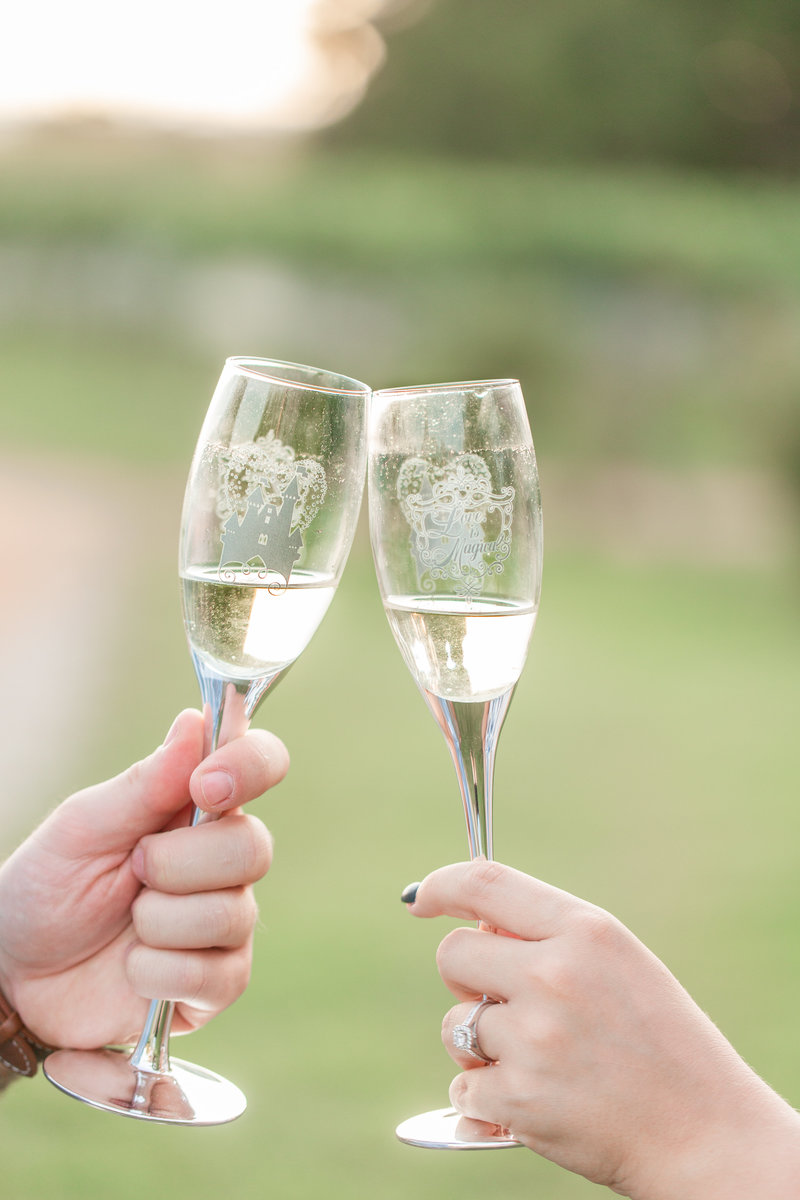 Engagement portrait of two people sharing a champagne toast.