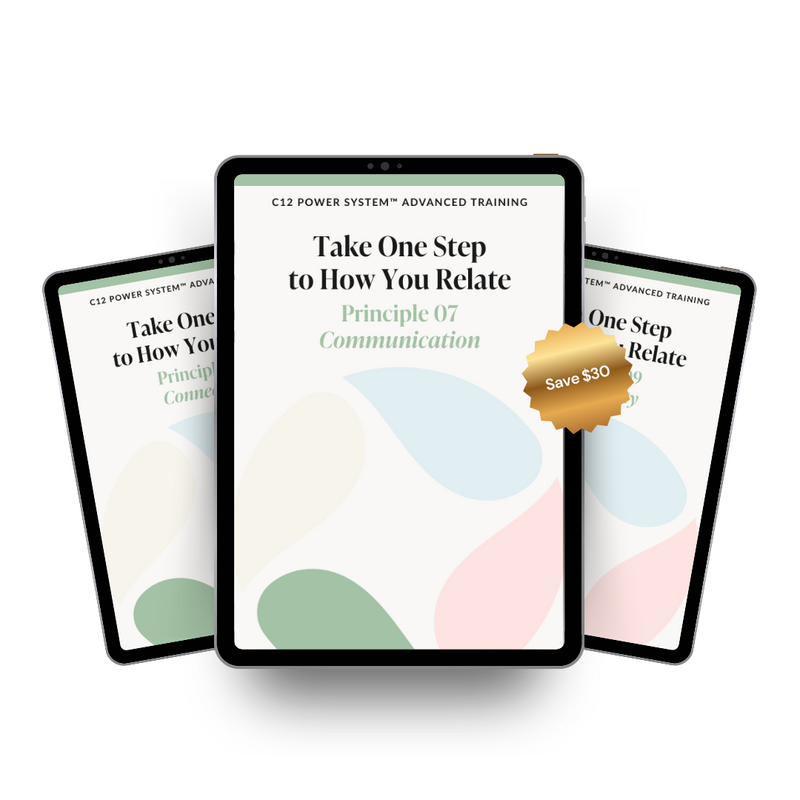C12 Power System bundle of the 3 principle workbook in How You Relate
