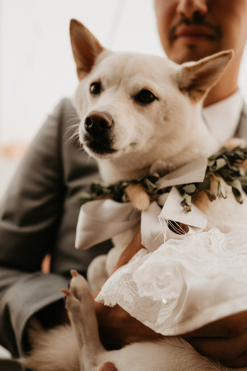 173_Lorena_Brian_Wedding_9.12.21-1648