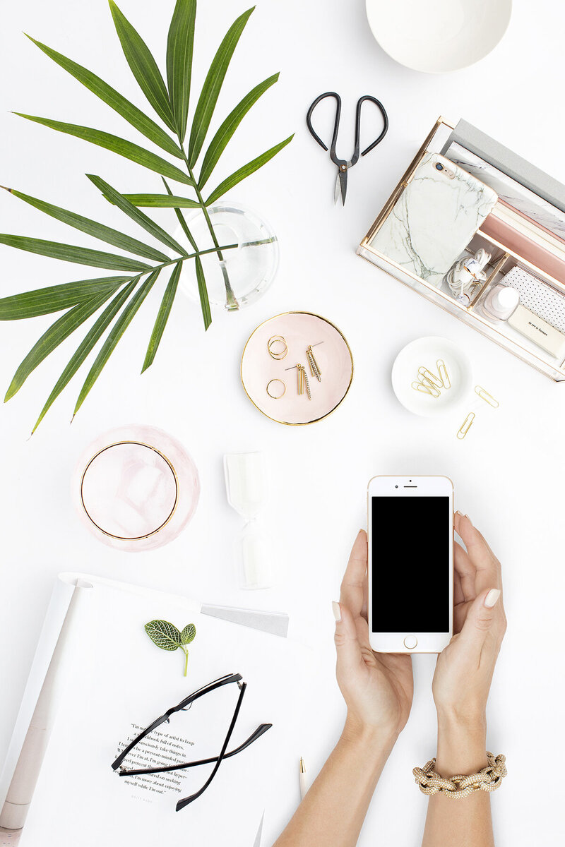 social-squares-blush-palms-desktop-styled-stock001