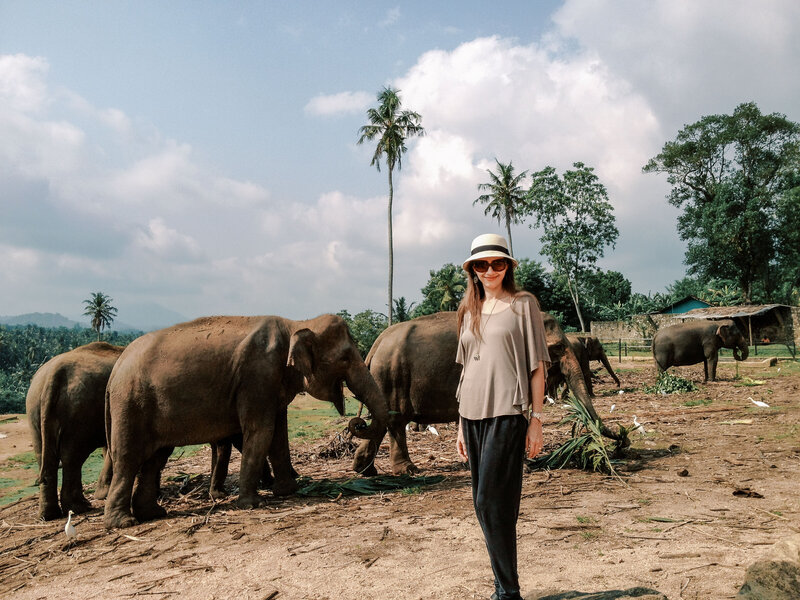 Samin at the Sri Lankan elephant rehabilitation centre terion