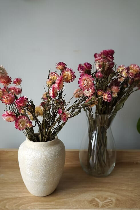 Pink and Blush Dried Strawflowers (4)
