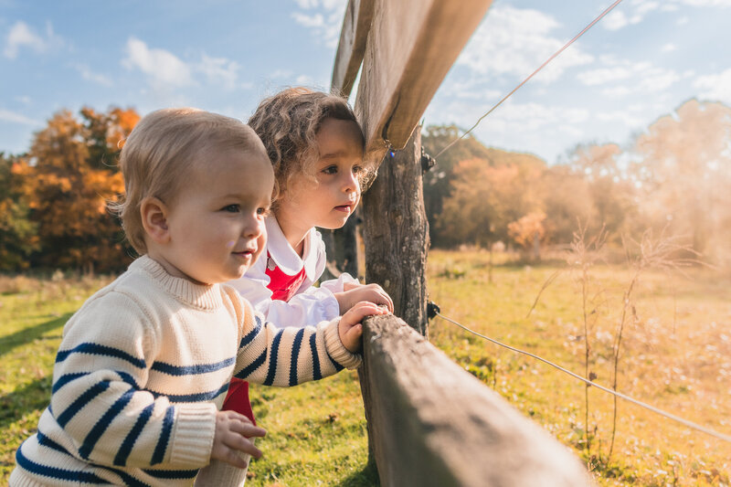 Two young kids looking through wooden fence on farm