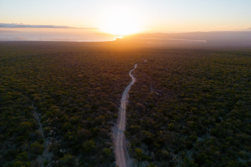 mexico_drone_landscape_baja