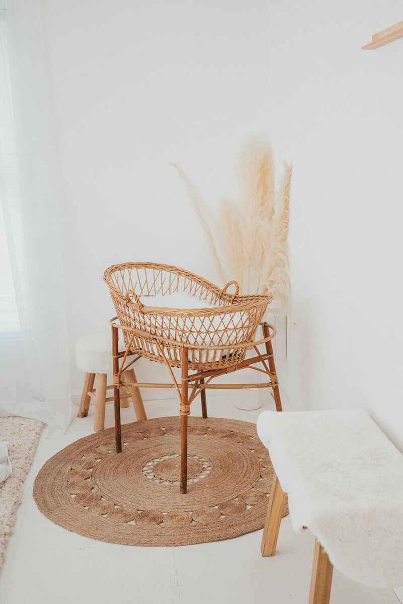 a wicker bassinet stands in the corner of a beautiful white photography studio next to pampas grass