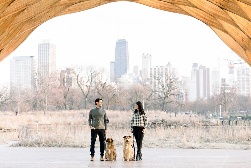 couple under the lincoln park honeycomb with their two dogs