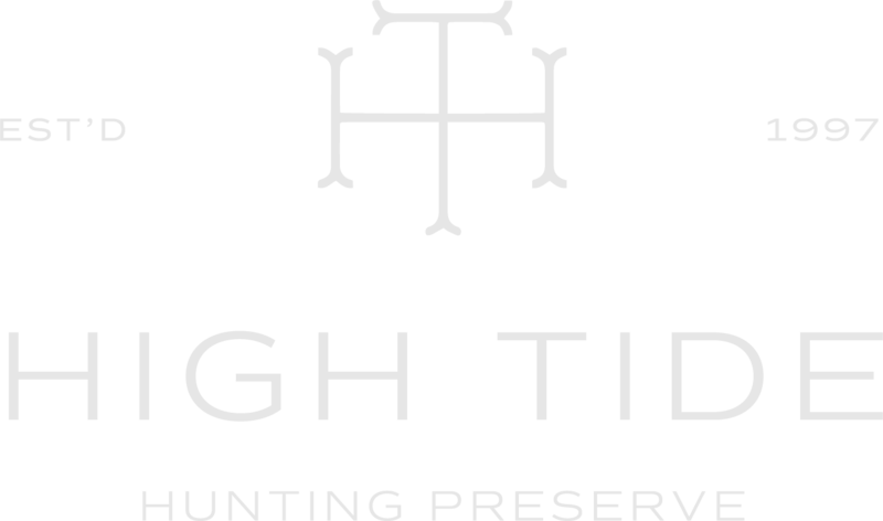 Primary Logo_White
