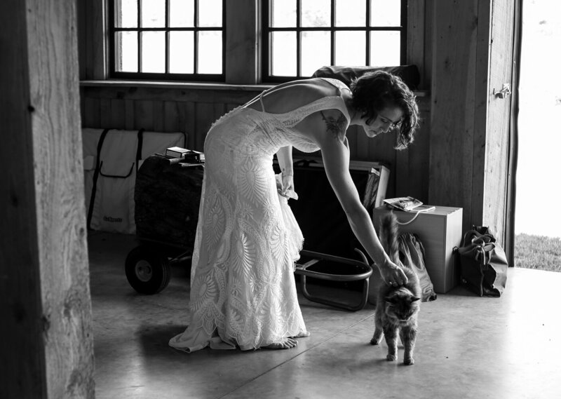 Bride bends down to pet a cat before CHQ Barn wedding