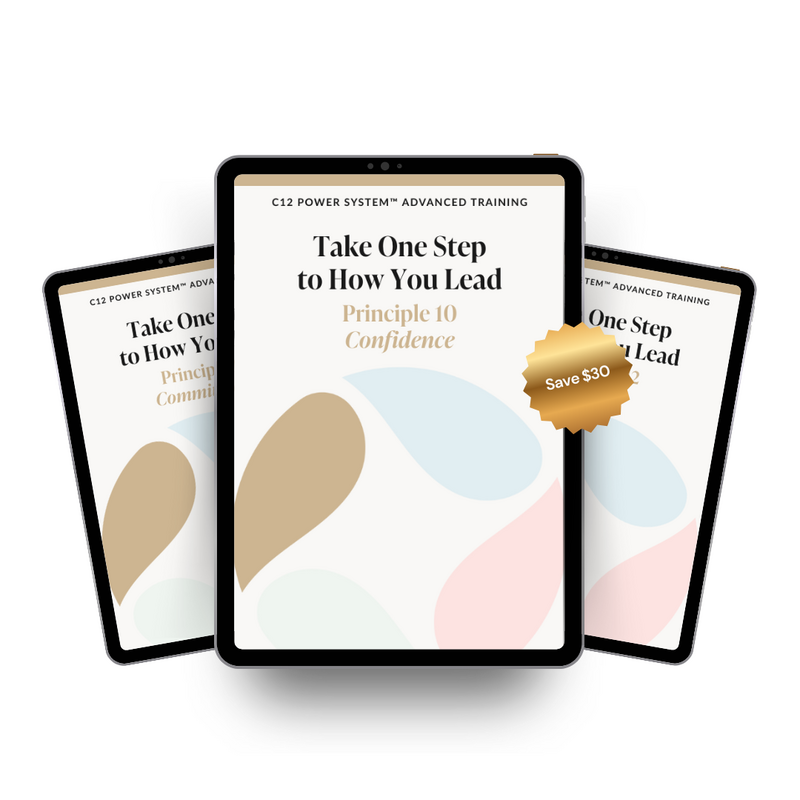 C12 Power System bundle of the 3 principle workbook in How You Lead